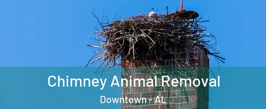 Chimney Animal Removal Downtown - AL