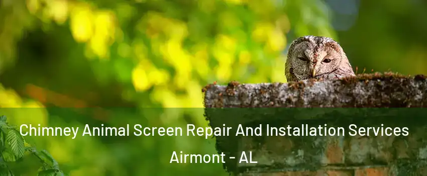 Chimney Animal Screen Repair And Installation Services Airmont - AL