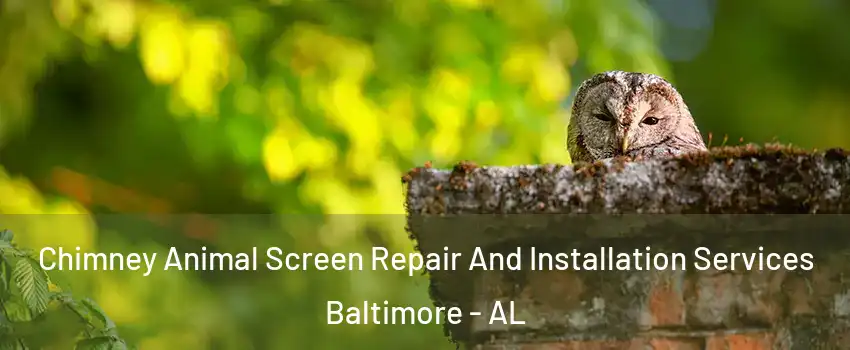 Chimney Animal Screen Repair And Installation Services Baltimore - AL