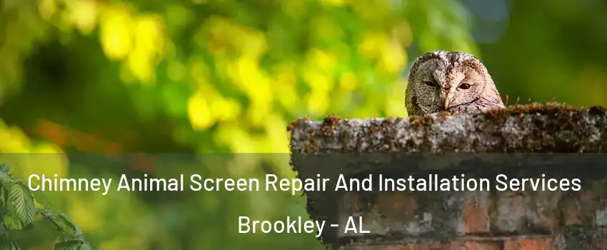 Chimney Animal Screen Repair And Installation Services Brookley - AL