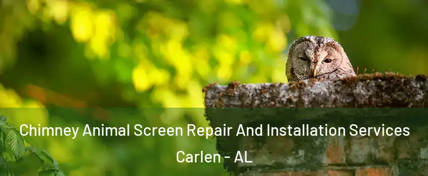 Chimney Animal Screen Repair And Installation Services Carlen - AL