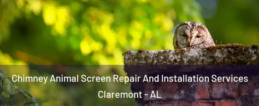 Chimney Animal Screen Repair And Installation Services Claremont - AL