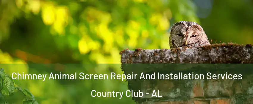 Chimney Animal Screen Repair And Installation Services Country Club - AL