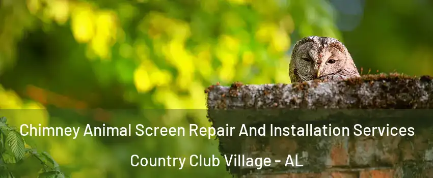 Chimney Animal Screen Repair And Installation Services Country Club Village - AL