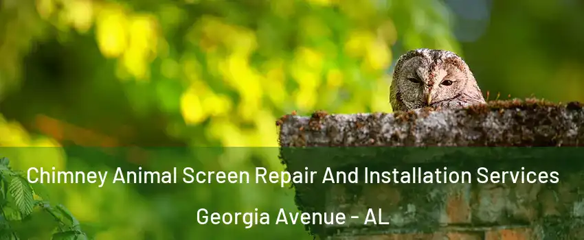 Chimney Animal Screen Repair And Installation Services Georgia Avenue - AL