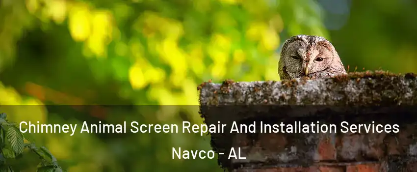 Chimney Animal Screen Repair And Installation Services Navco - AL