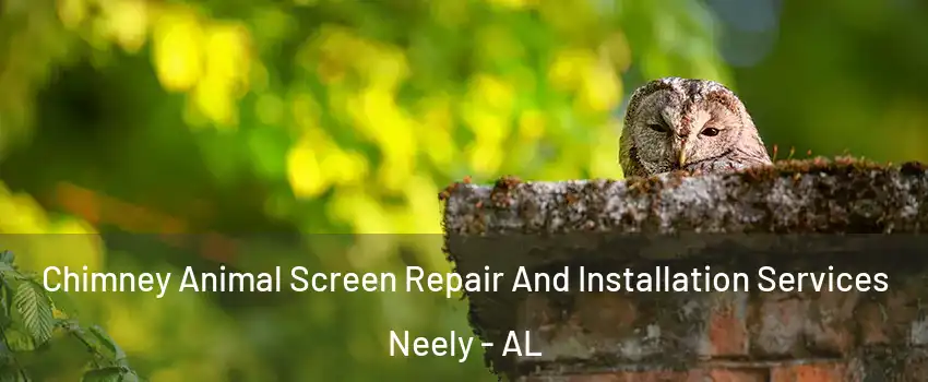 Chimney Animal Screen Repair And Installation Services Neely - AL