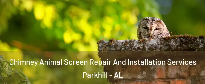 Chimney Animal Screen Repair And Installation Services Parkhill - AL