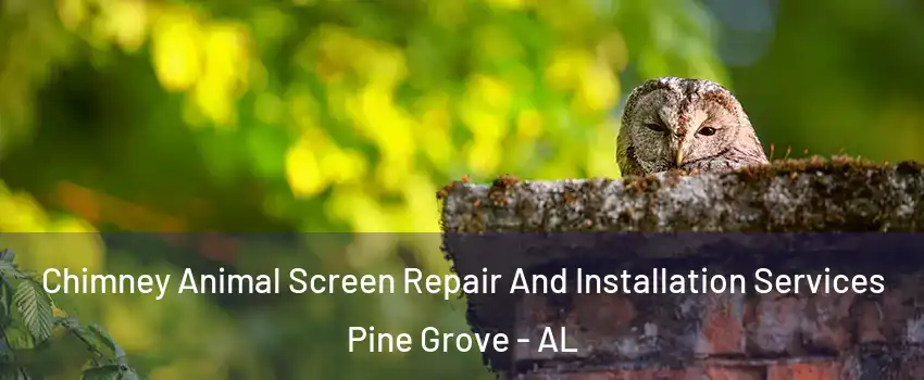 Chimney Animal Screen Repair And Installation Services Pine Grove - AL