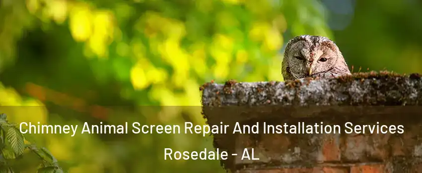 Chimney Animal Screen Repair And Installation Services Rosedale - AL