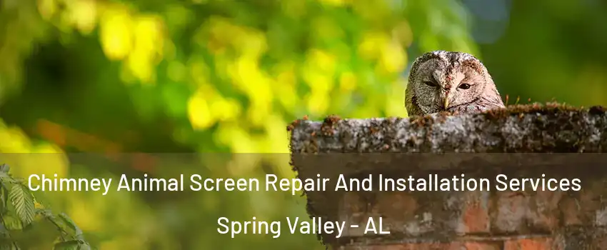 Chimney Animal Screen Repair And Installation Services Spring Valley - AL