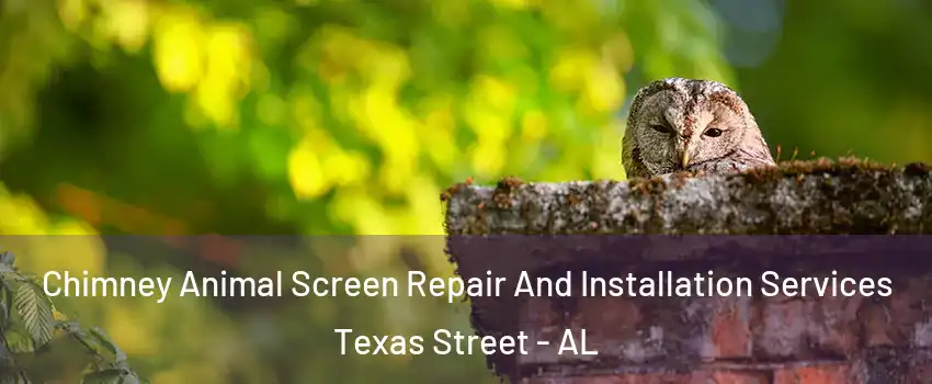 Chimney Animal Screen Repair And Installation Services Texas Street - AL