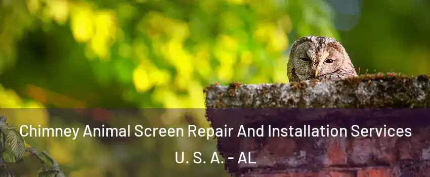 Chimney Animal Screen Repair And Installation Services U. S. A. - AL