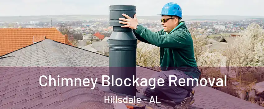 Chimney Blockage Removal Hillsdale - AL