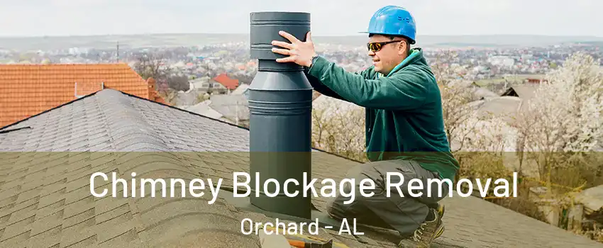 Chimney Blockage Removal Orchard - AL