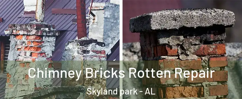 Chimney Bricks Rotten Repair Skyland park - AL