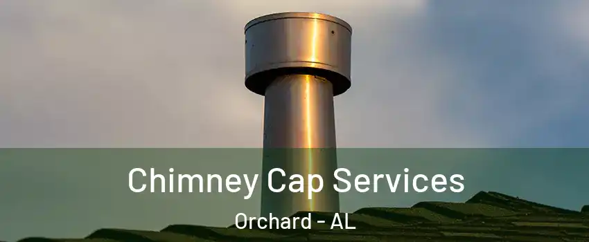 Chimney Cap Services Orchard - AL