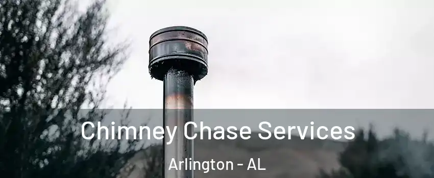 Chimney Chase Services Arlington - AL