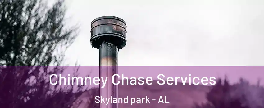 Chimney Chase Services Skyland park - AL