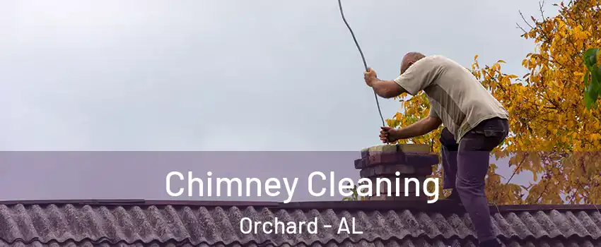 Chimney Cleaning Orchard - AL