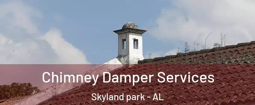 Chimney Damper Services Skyland park - AL