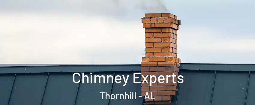 Chimney Experts Thornhill - AL