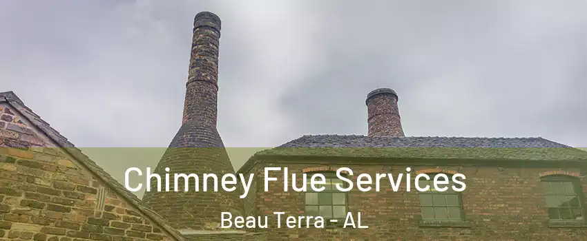 Chimney Flue Services Beau Terra - AL