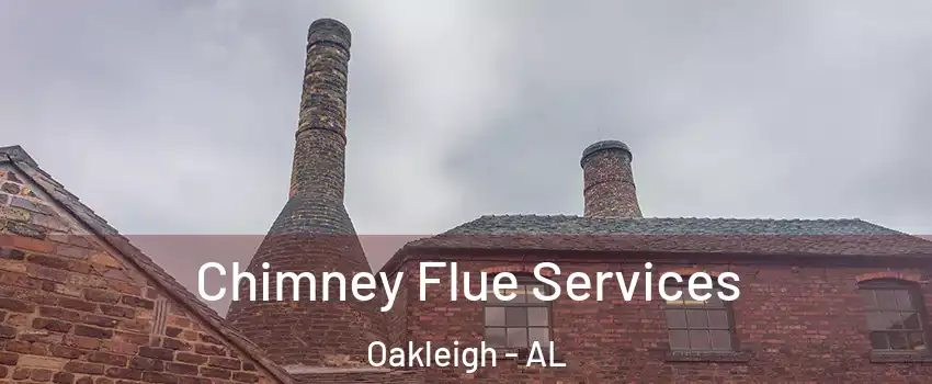 Chimney Flue Services Oakleigh - AL