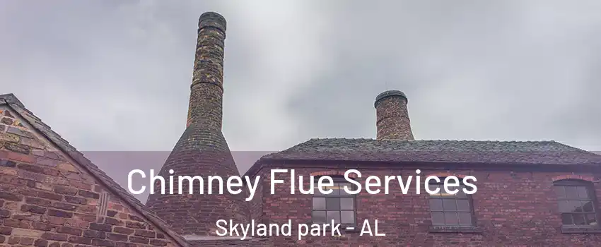 Chimney Flue Services Skyland park - AL