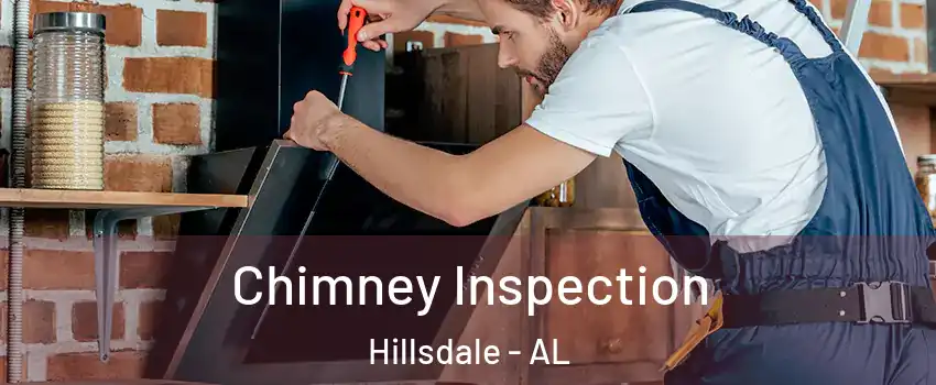 Chimney Inspection Hillsdale - AL