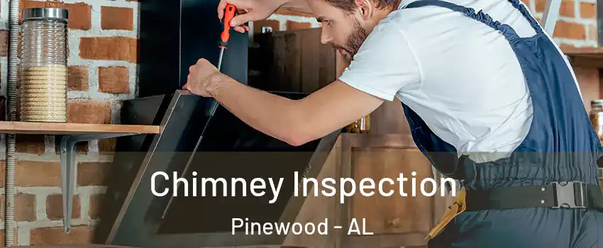 Chimney Inspection Pinewood - AL