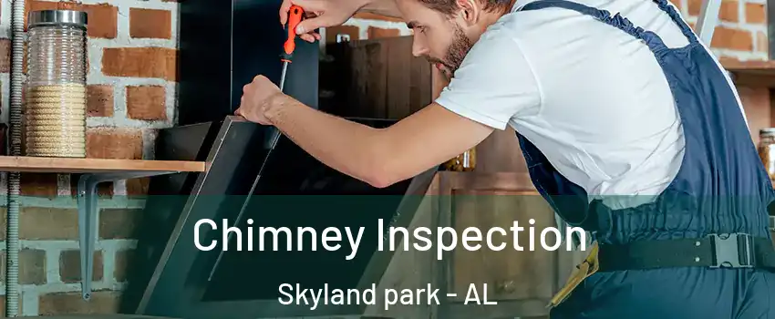 Chimney Inspection Skyland park - AL