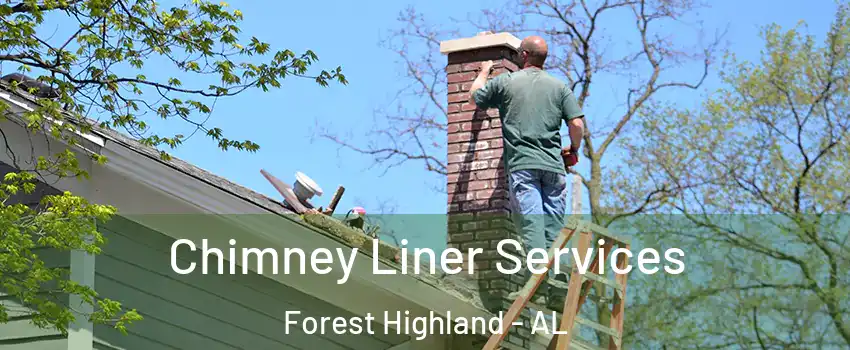 Chimney Liner Services Forest Highland - AL