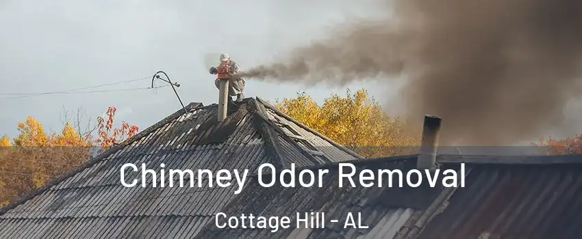 Chimney Odor Removal Cottage Hill - AL