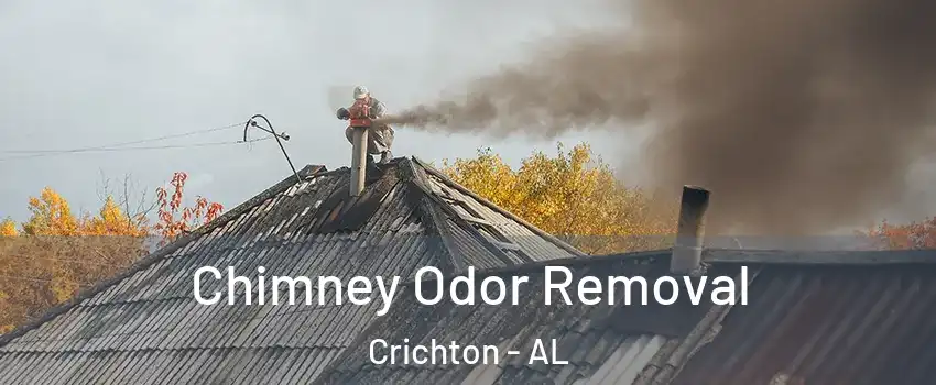 Chimney Odor Removal Crichton - AL