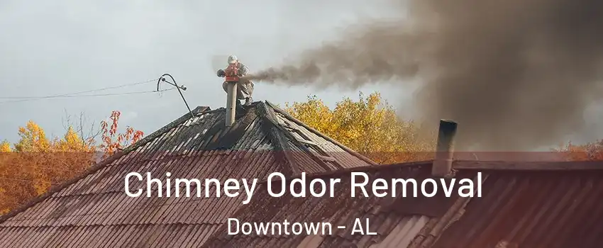 Chimney Odor Removal Downtown - AL