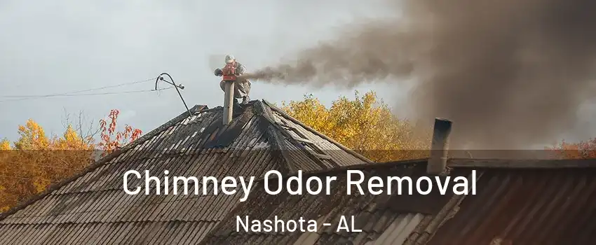 Chimney Odor Removal Nashota - AL