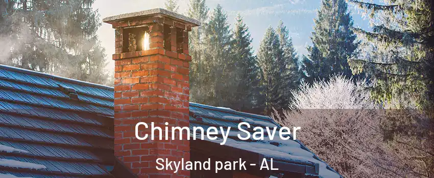 Chimney Saver Skyland park - AL