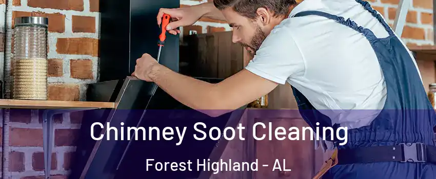 Chimney Soot Cleaning Forest Highland - AL