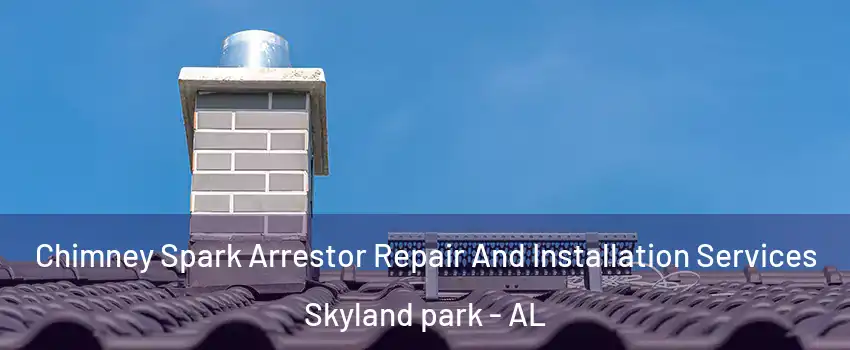 Chimney Spark Arrestor Repair And Installation Services Skyland park - AL