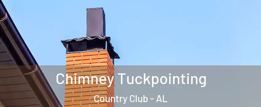 Chimney Tuckpointing Country Club - AL