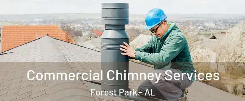 Commercial Chimney Services Forest Park - AL