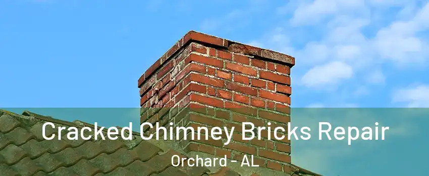 Cracked Chimney Bricks Repair Orchard - AL