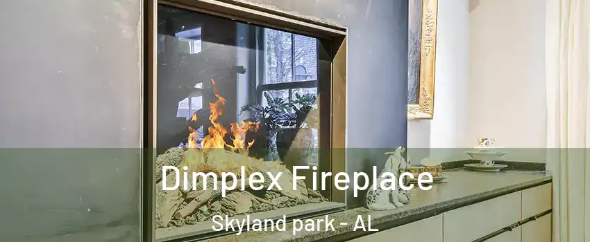 Dimplex Fireplace Skyland park - AL