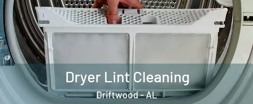 Dryer Lint Cleaning Driftwood - AL