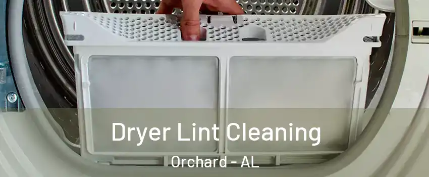 Dryer Lint Cleaning Orchard - AL