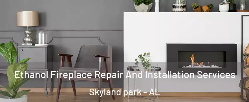 Ethanol Fireplace Repair And Installation Services Skyland park - AL