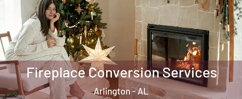 Fireplace Conversion Services Arlington - AL