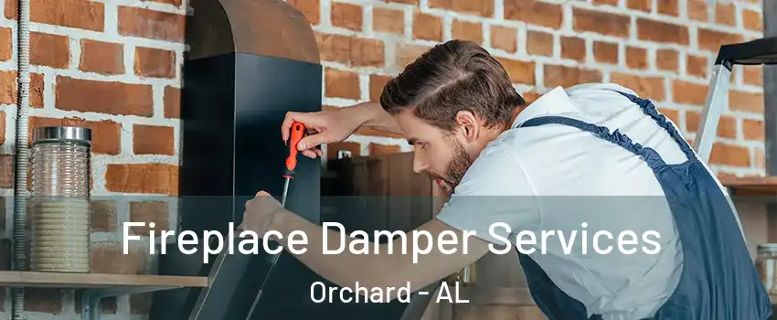 Fireplace Damper Services Orchard - AL