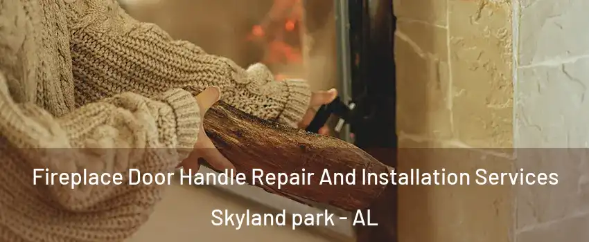 Fireplace Door Handle Repair And Installation Services Skyland park - AL